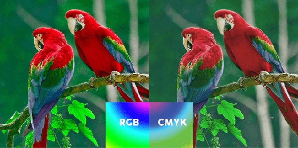 hệ màu cmyk